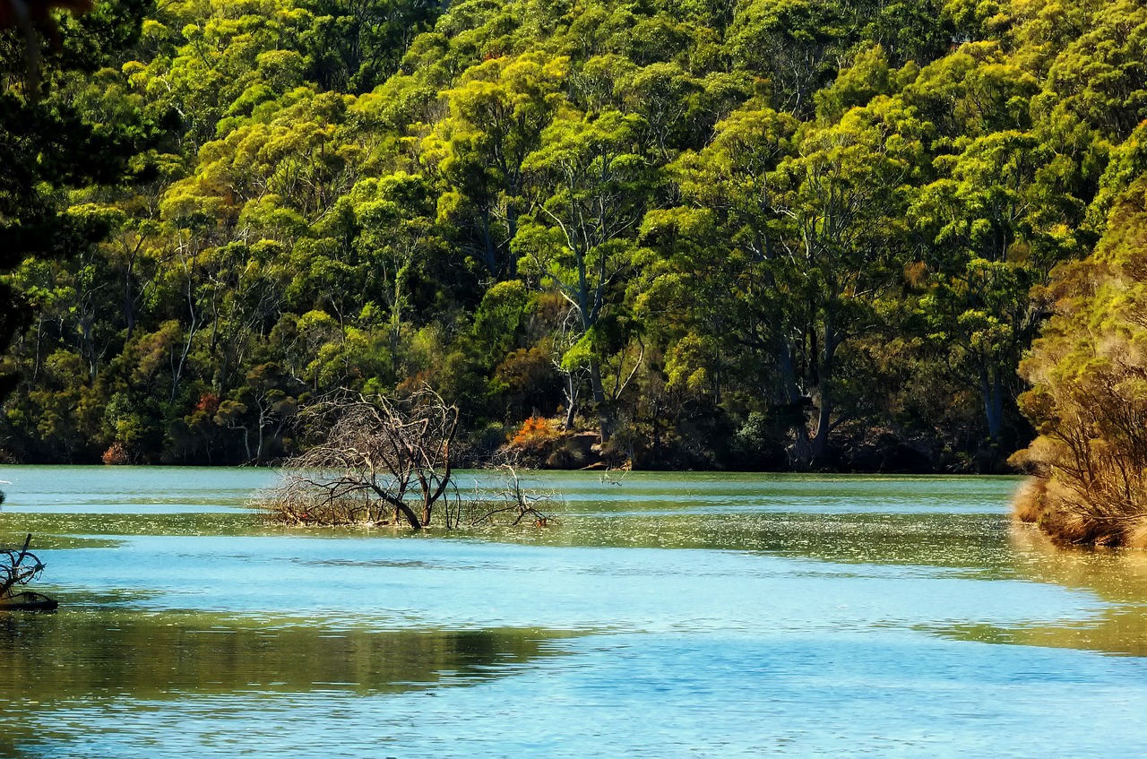 >A Beautiful Spot to enjoy holiday